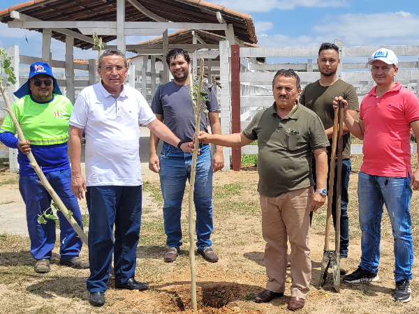 Prefeitura de Nova Cruz realiza plantio de árvores no Parque de Exposição Geraldo da Grota